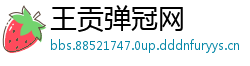 王贡弹冠网